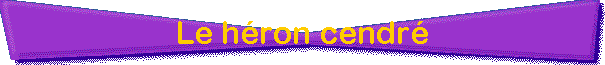 Le hron cendr