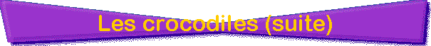 Les crocodiles (suite)